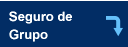 Agrupe Seguro
