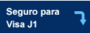 Seguro de visa J1