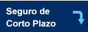 Seguro Temporal Corto