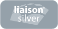Liaison Silver 2010 Insurance