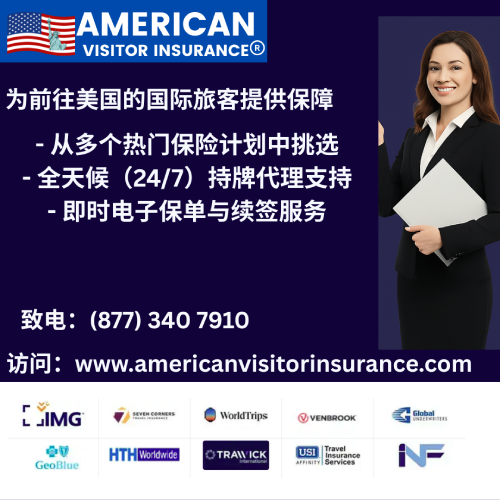 american visitor insurance