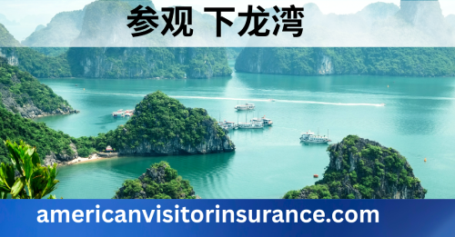 从中国购买越南旅游保险