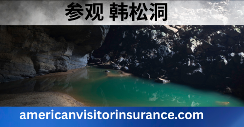 从中国购买越南旅游保险