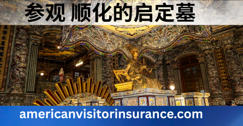 从中国购买越南旅游保险