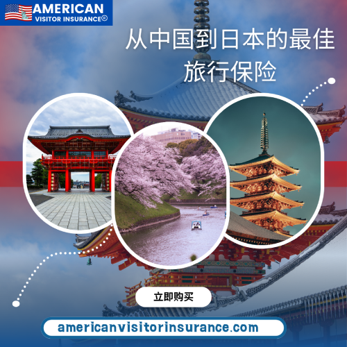 从中国前往韩国的旅游保险