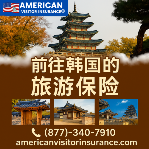 从中国前往韩国的旅游保险