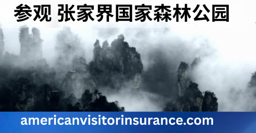 购买中国旅游保险