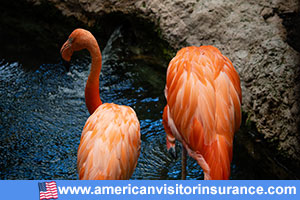 Dallas World Aquarium