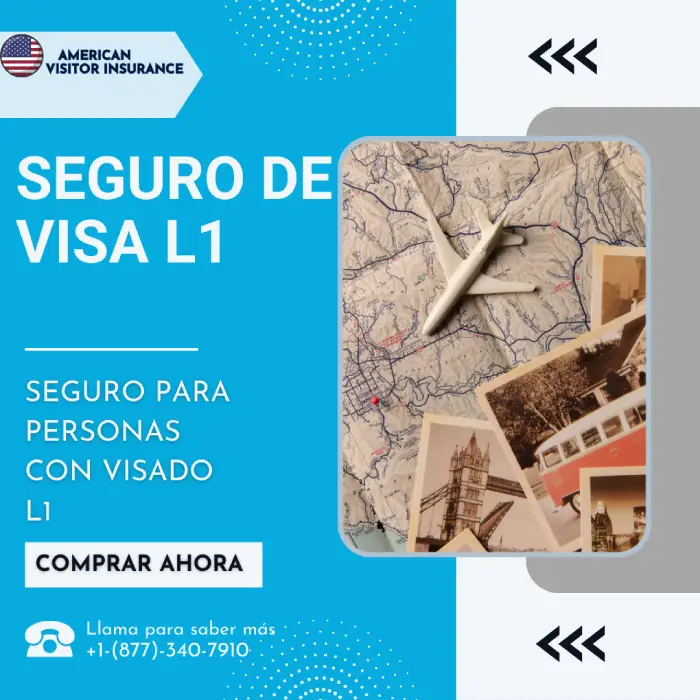 Seguro de visa L1