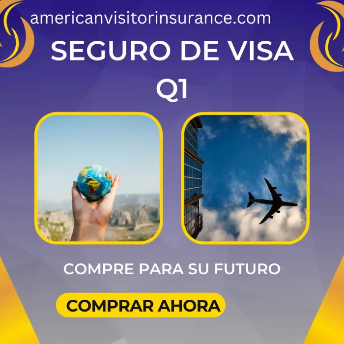 Seguro de visa Q1