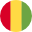 Guinea flag