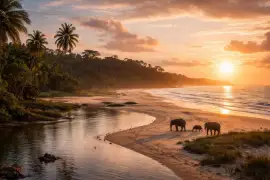 Loango National Park