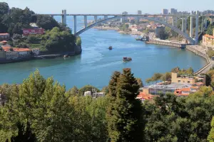 Scenic Duero River flowing through northern Spain with vineyards and riverside town