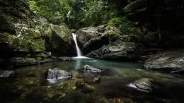 Bosque Nacional El Yunque