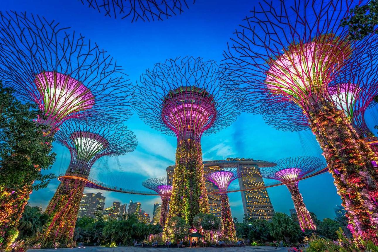 Travel Insurance for Gardens by the Bay