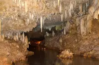 Insurance for 
Harrison's Cave