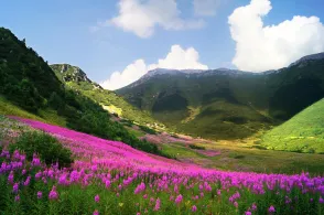 Slovakia Travel Insurance