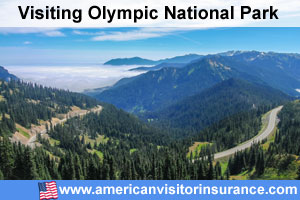 Hurricane Ridge in Olympic National Park