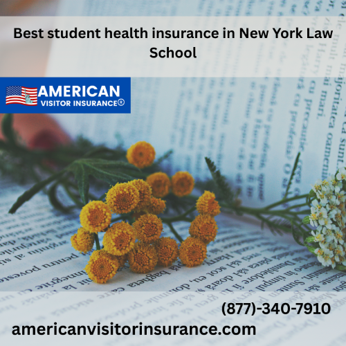 International Student Insurance