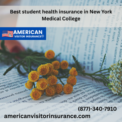 International Student Insurance