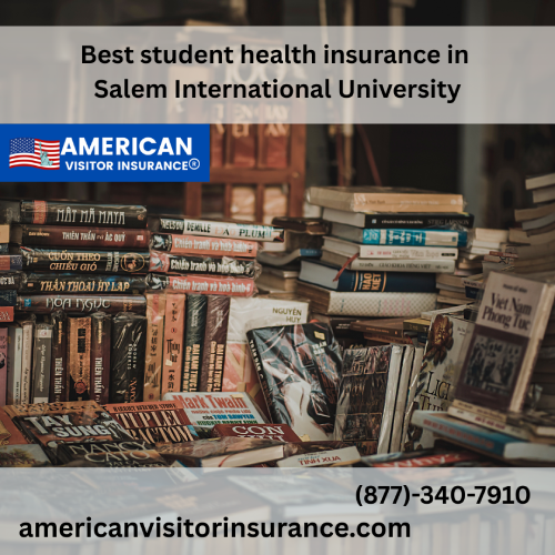 International Student Insurance at Salem International University