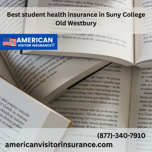 International Student Insurance