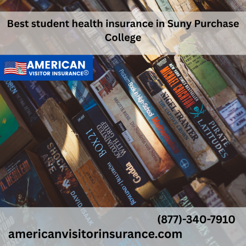 International Student Insurance