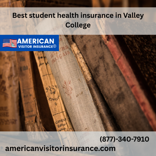 International Student Insurance at Valley College