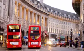 Landon travel insurance