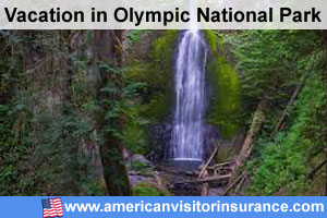 Marymere Falls in Olympic National Park