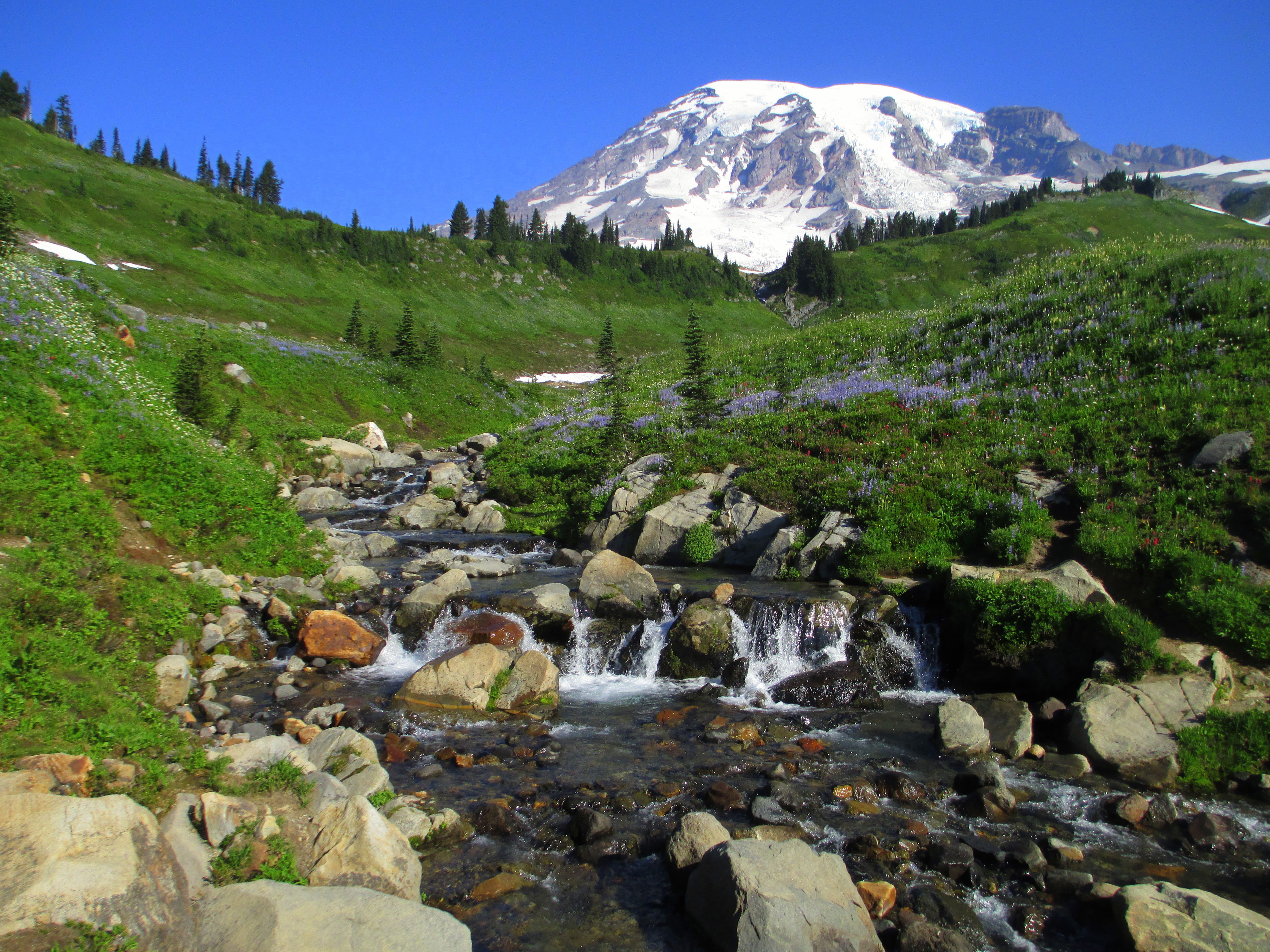 India travel to Mount Rainier, Washington