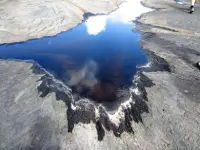 La Brea Pitch Lake