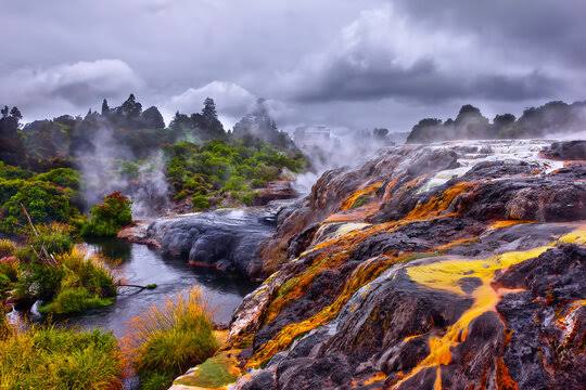Travel Insurance for Rotorua