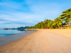 Insurance for Seven Mile Beach