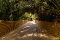 Al Ain Oasis
